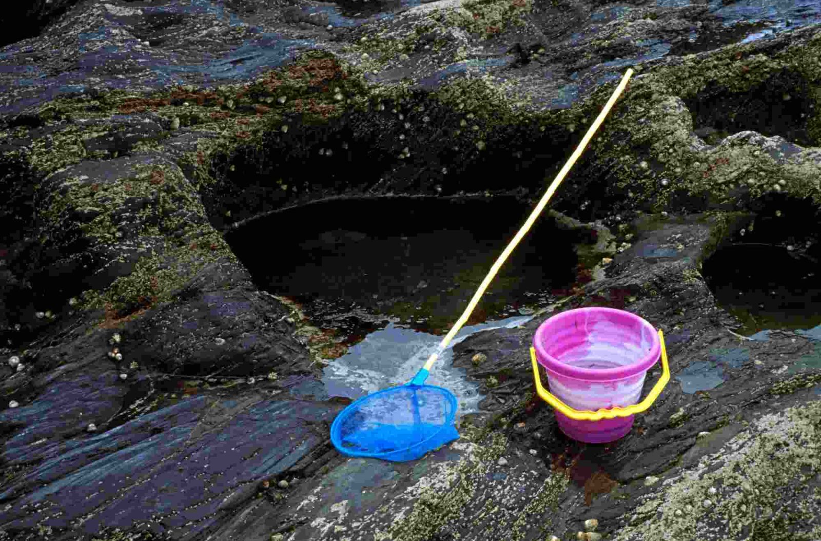 rockpool with kids outdoor activities for kids